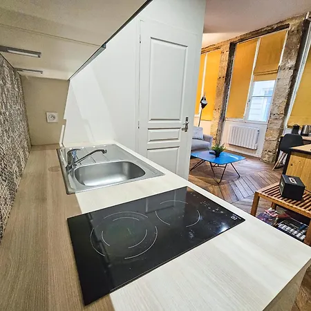 Le Bleu Hypercentre Presque île Appartement Lyon